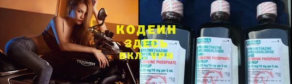 прущие крисы Бородино