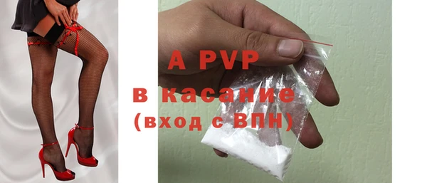 прущие крисы Бородино