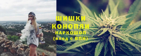 прущие крисы Бородино