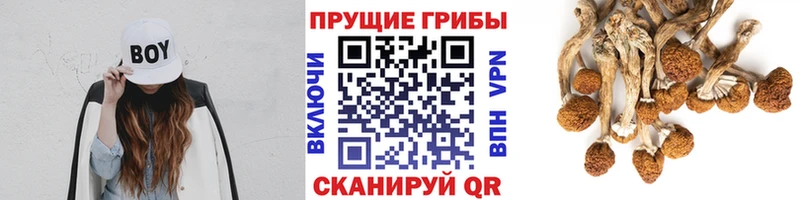 Псилоцибиновые грибы Magic Shrooms  кракен вход  Междуреченск 
